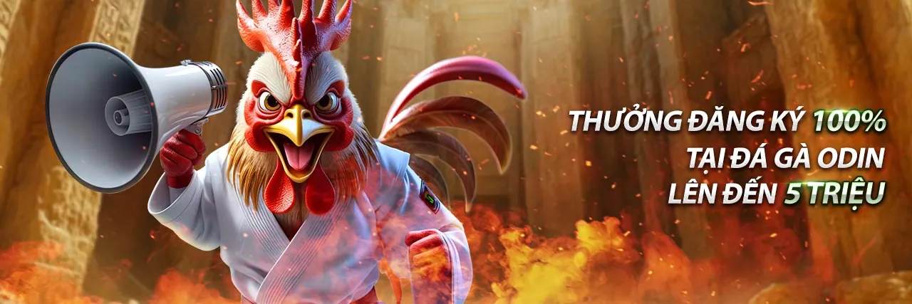 Hình ảnh đại diện cho Chính sách Cookie và bảo mật dữ liệu của bong789 App