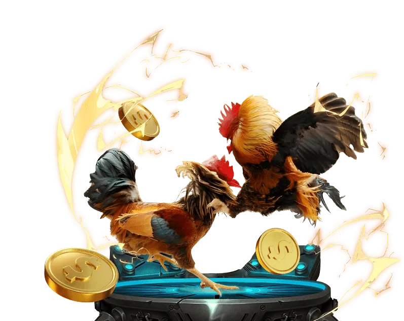 Nền tảng bong789 App uy tín